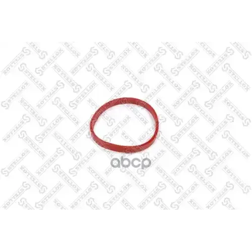 Прокладка Коллектора Bmw E64 3.0 24V N52b30a 04- Stellox 