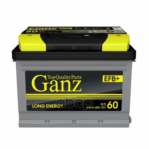 Аккумуляторная Батарея Ganz Efb 60 А/Ч GANZ 